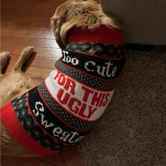Dog sweater size M. Fits about 40-50 lbs - Picture 1 of 1
